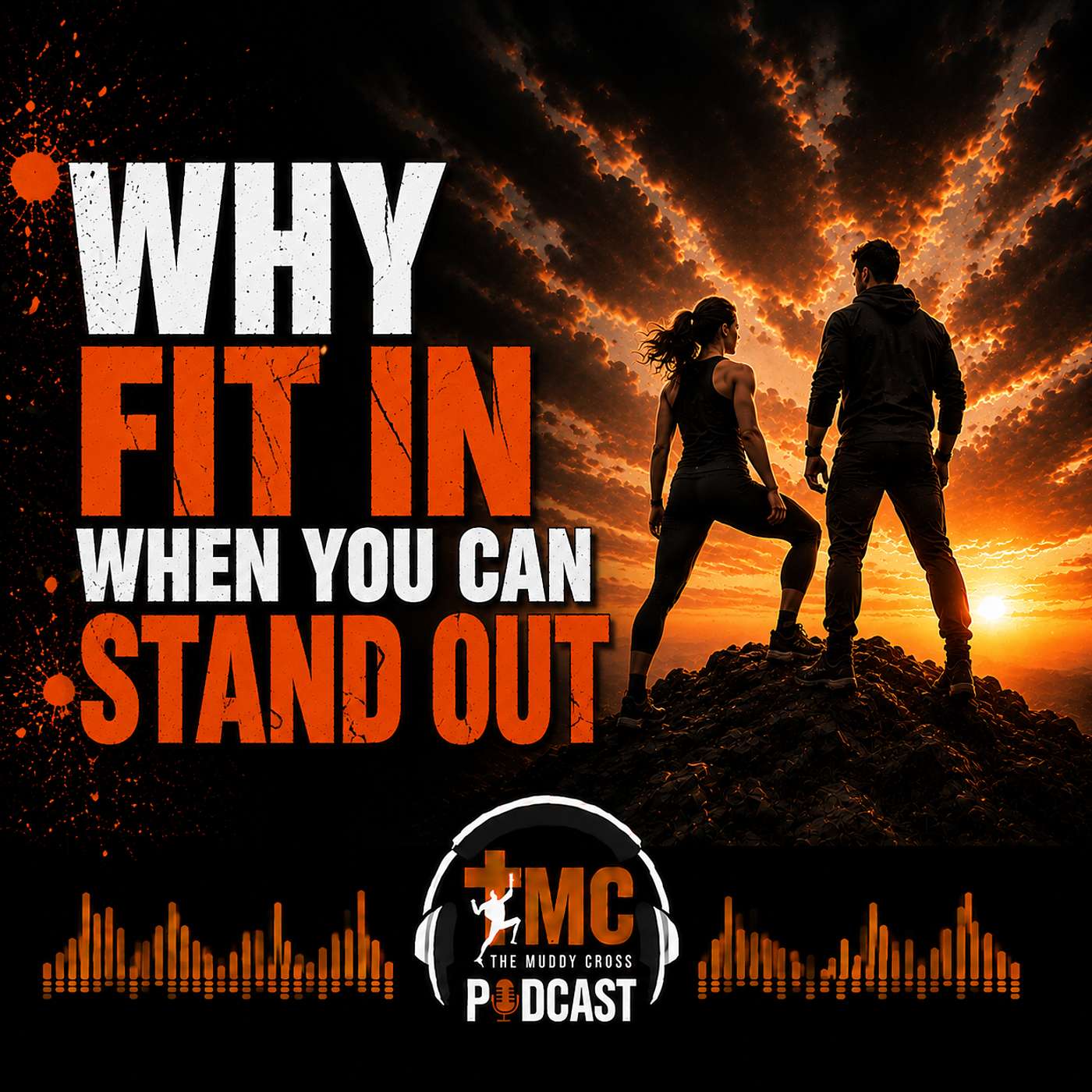 Why Fit In When You Can Stand Out episode artwork