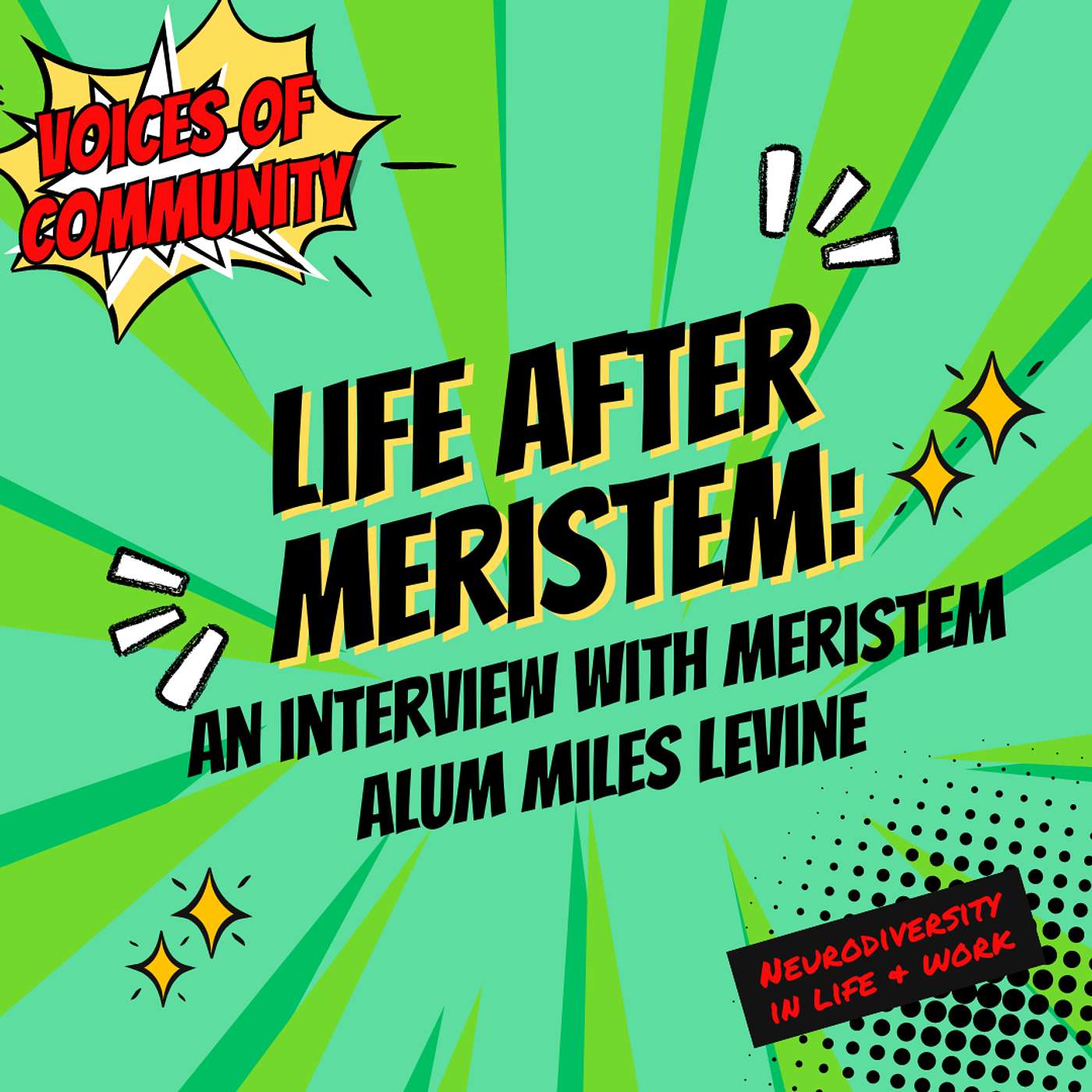 Life After Meristem: An Interview with Meristem Alum Miles Levine