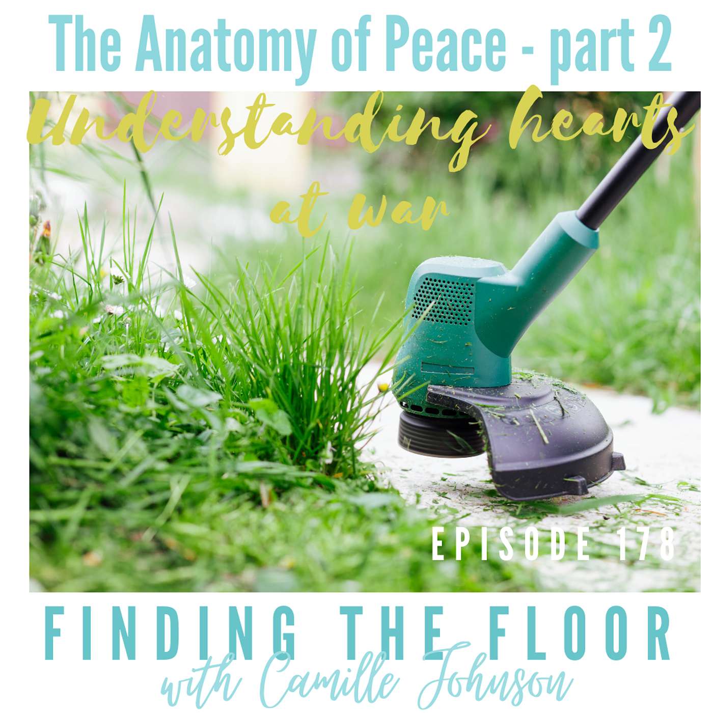 Ep. 178 - The Anatomy of Peace - Part 2 - Understanding hearts at war episode artwork