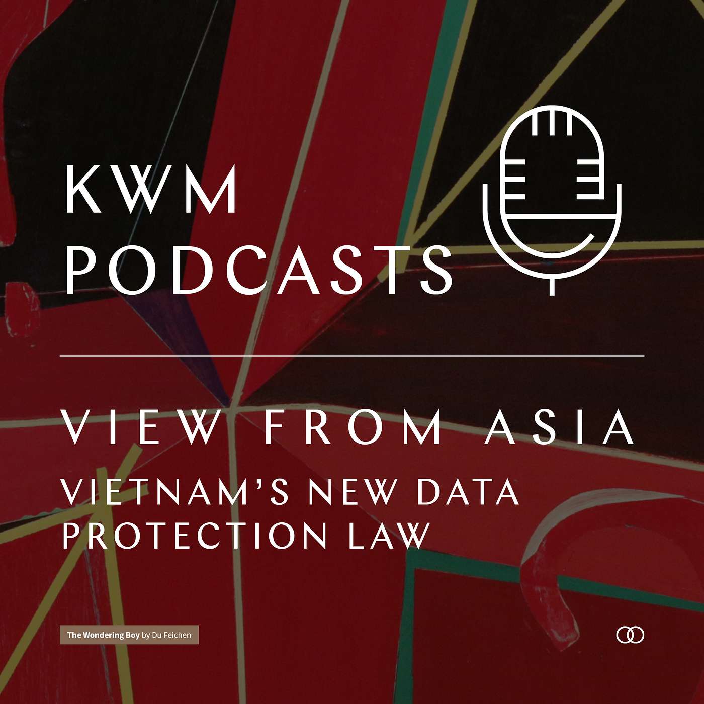 Vietnam’s new personal data protection law