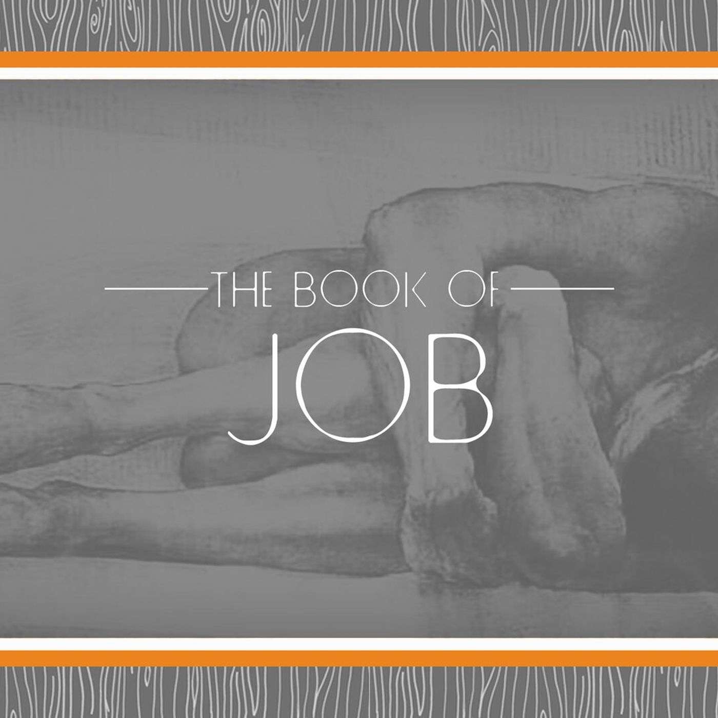 Job Series Part 7 (feat. Mike Plunket)
