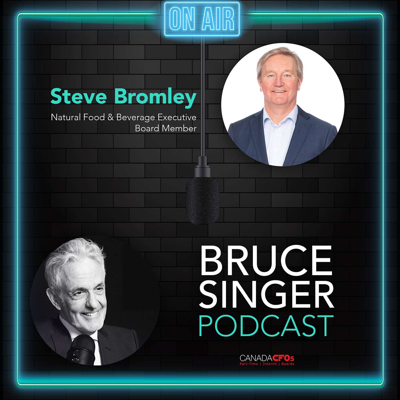 Bruce Singer Podcast