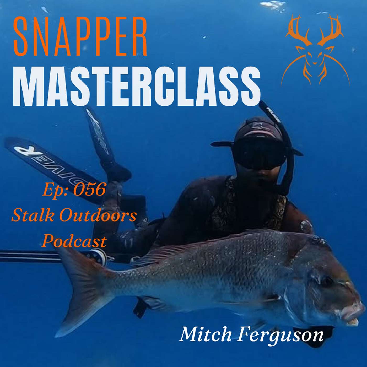 056: Snapper Tips & Tricks | MITCH FERGUSON