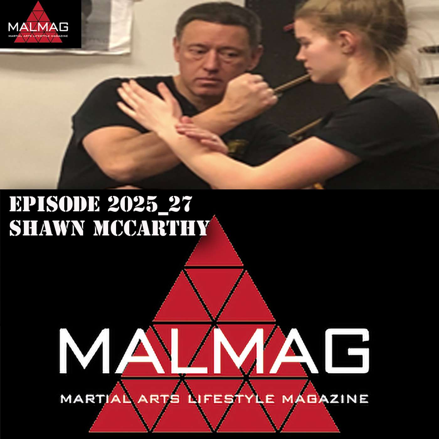 The Martial Arts Lifestyle Podcast