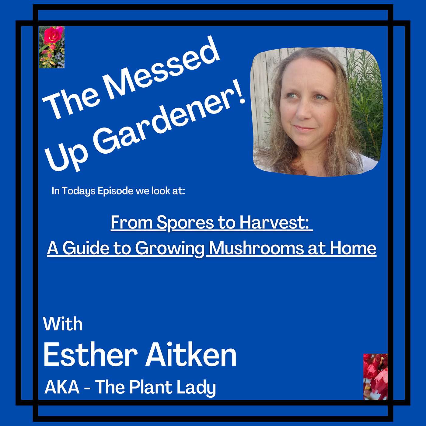 The Messed Up Gardener