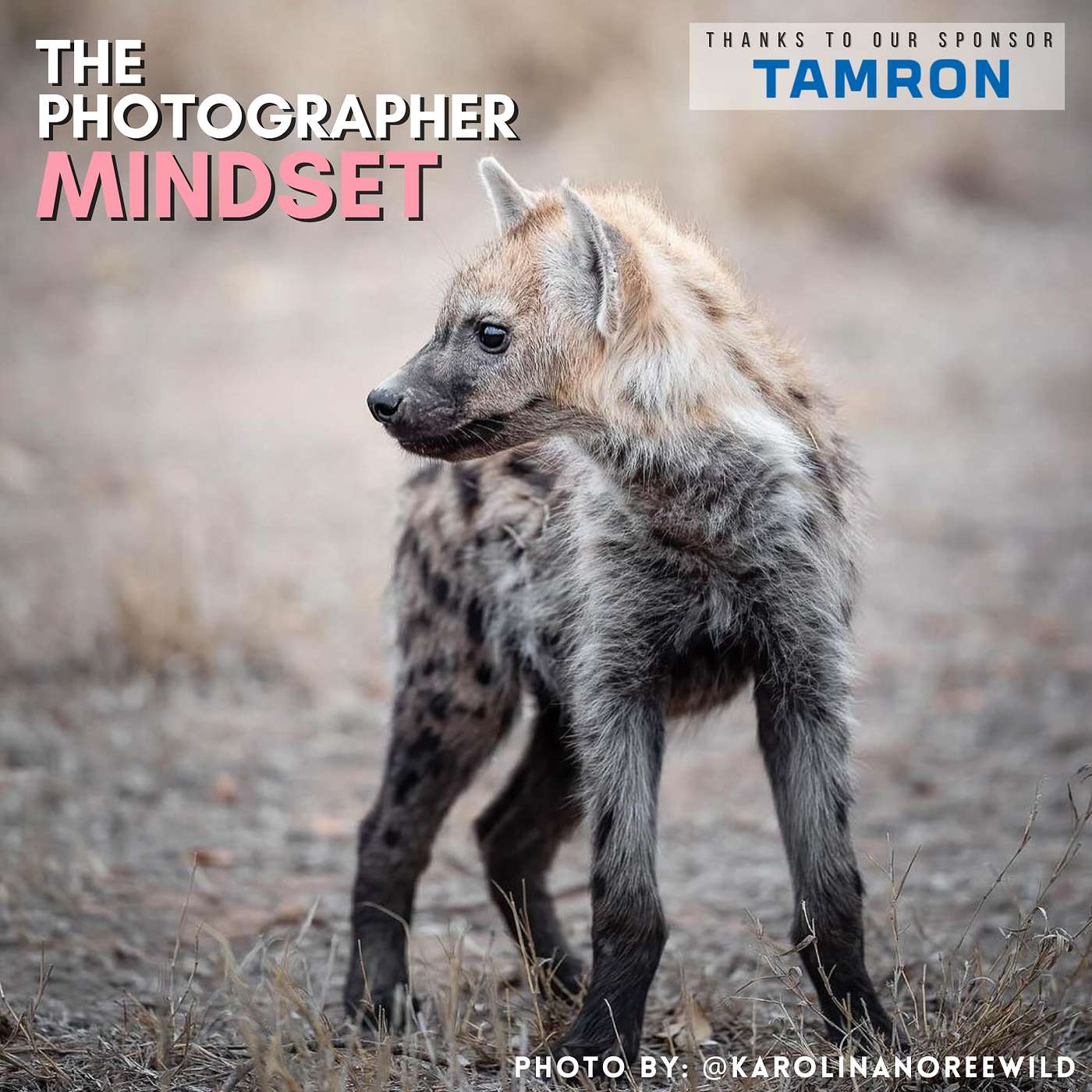 The Photographer Mindset