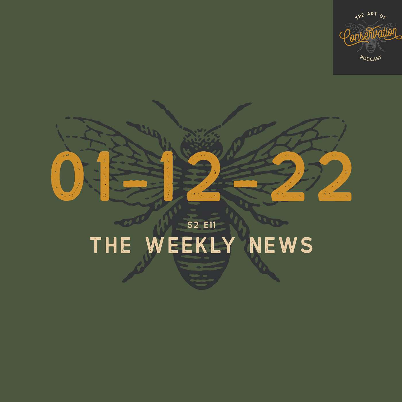 S2 E11 - The Weekly News 01-12-2021 with Simon Borchert & Shannon Elizabeth