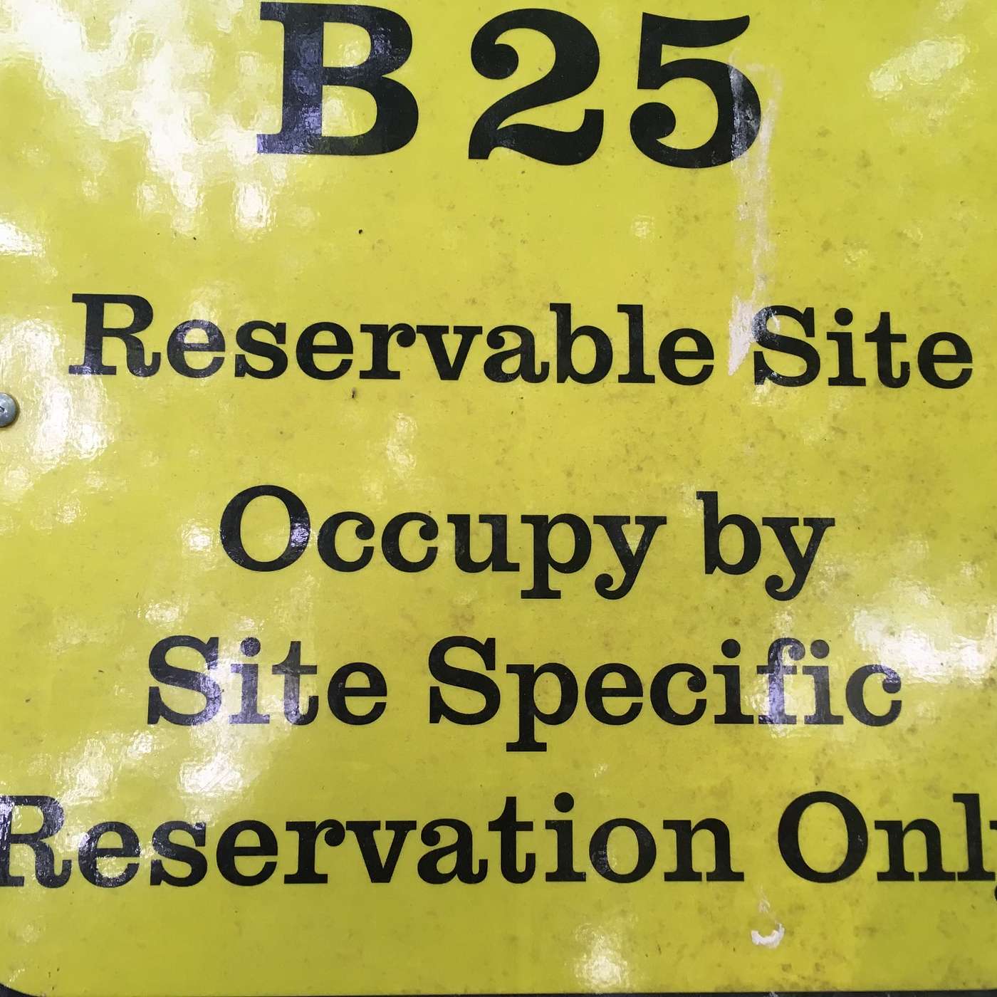 Picking Out A Campsite