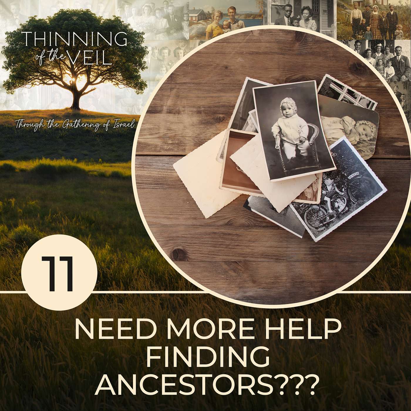 NEED MORE HELP FINDING ANCESTORS??? episode artwork