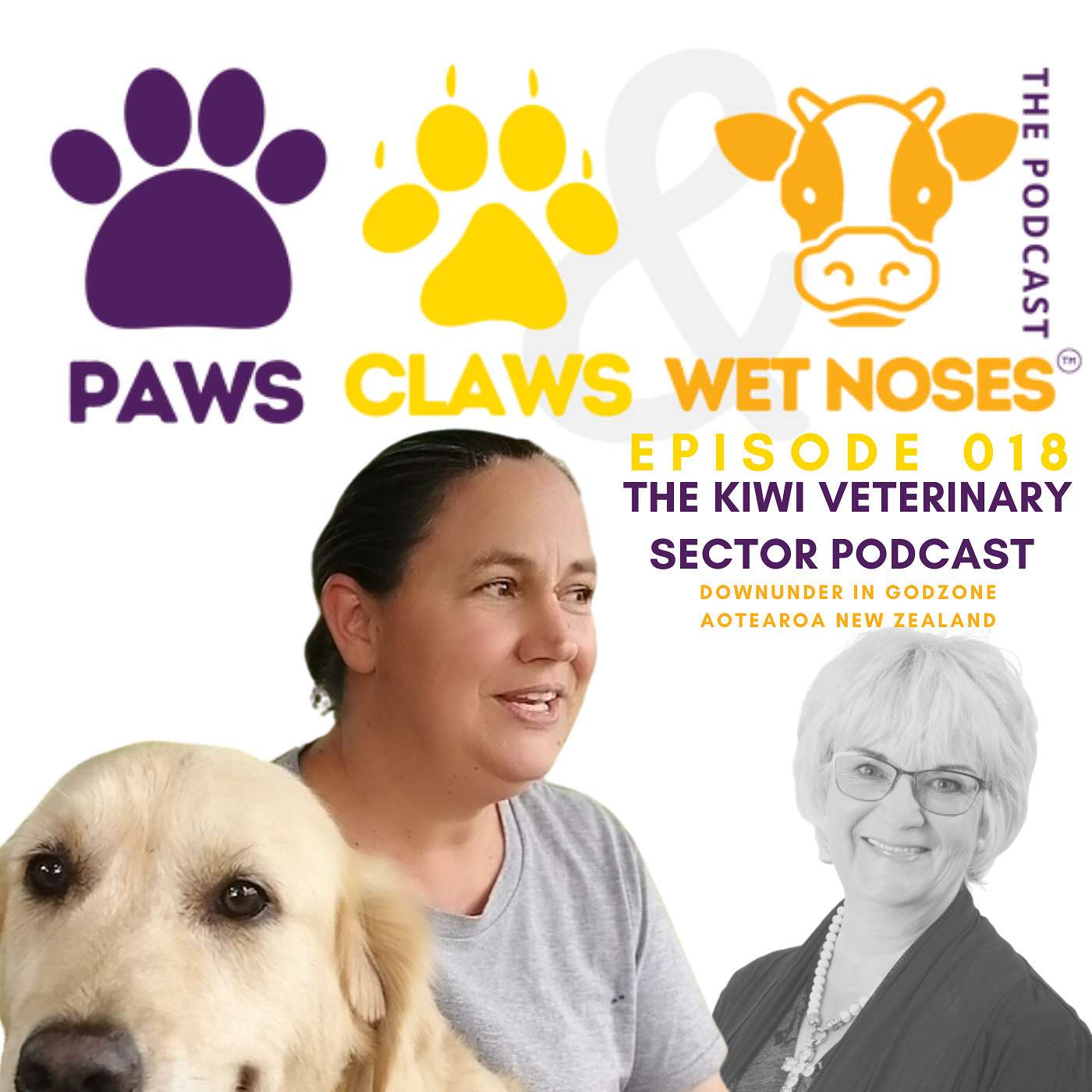 018 - Dr Jasmin Klocker | Open Letter CVE & AVA | veterinary shortage | some solutions