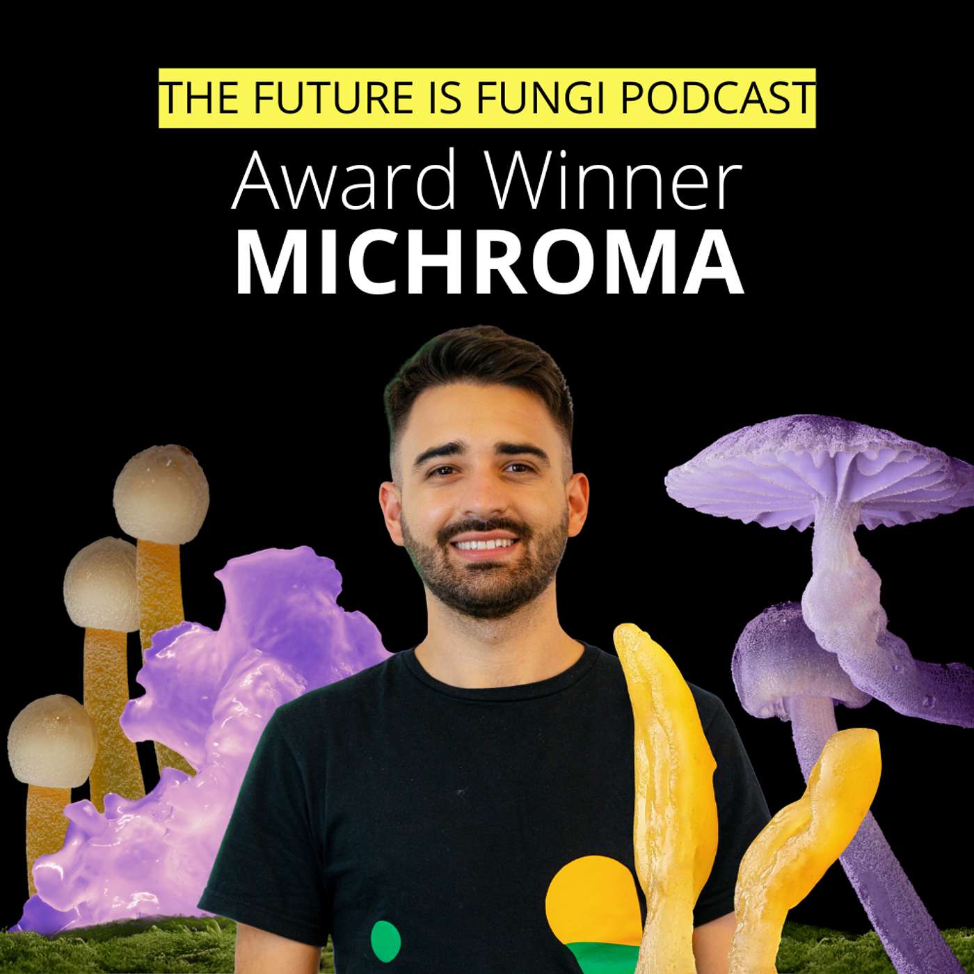 Startup Award Winner 2025 - Michroma