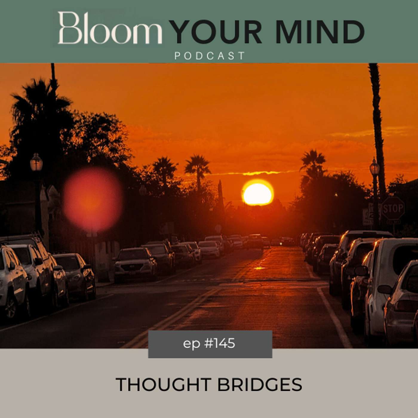 Ep 145: Thought Bridges