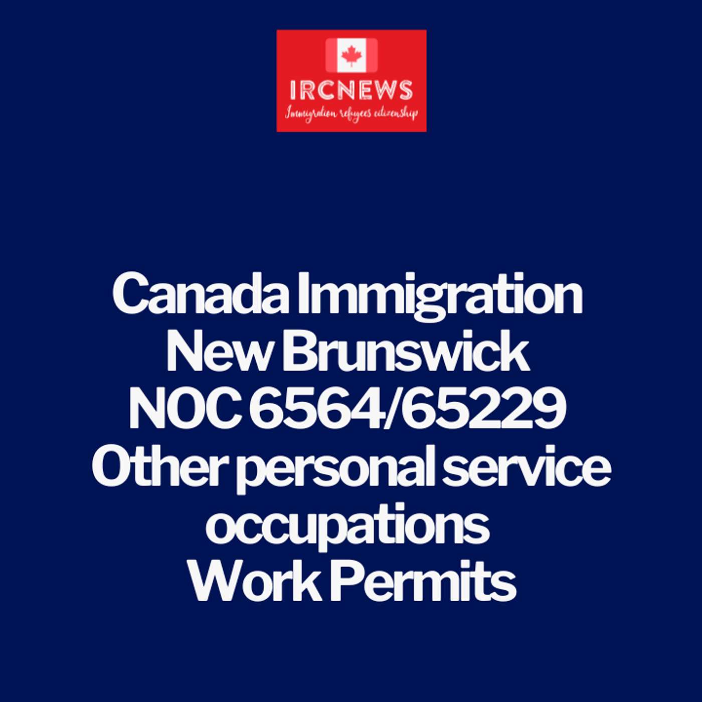 Canada Immigration New Brunswick NOC 6564/65229 Other personal service occupations Work Permits episode artwork