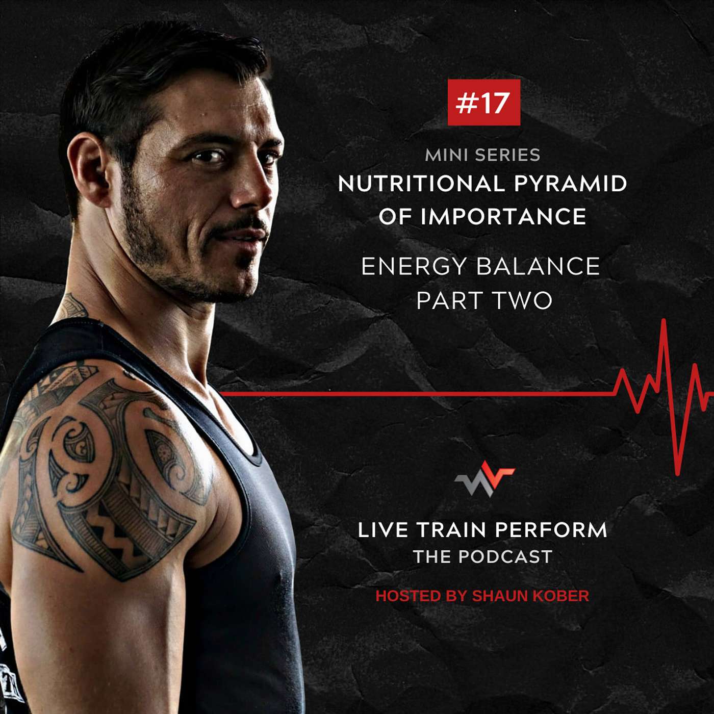 Episode 17: Nutritional Pyramid of Importance Mini Series: Energy Balance Part 2 episode artwork
