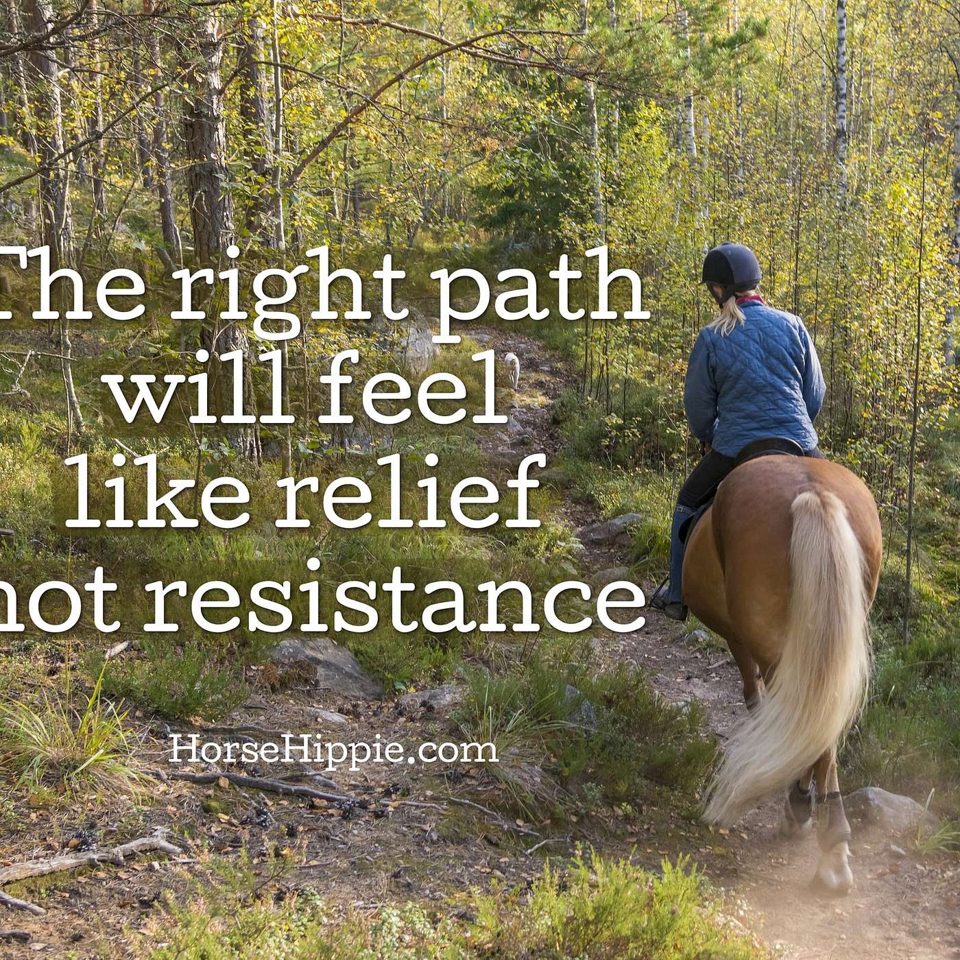 Is This The Right Path?