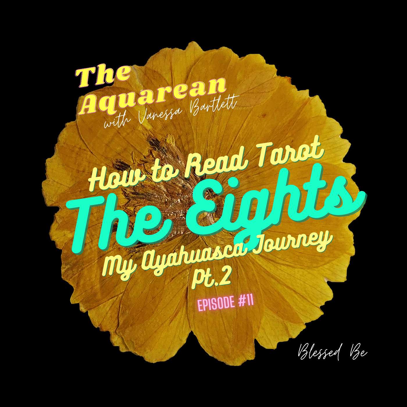 The 8's / My Ayahuasca Journey Pt. 2