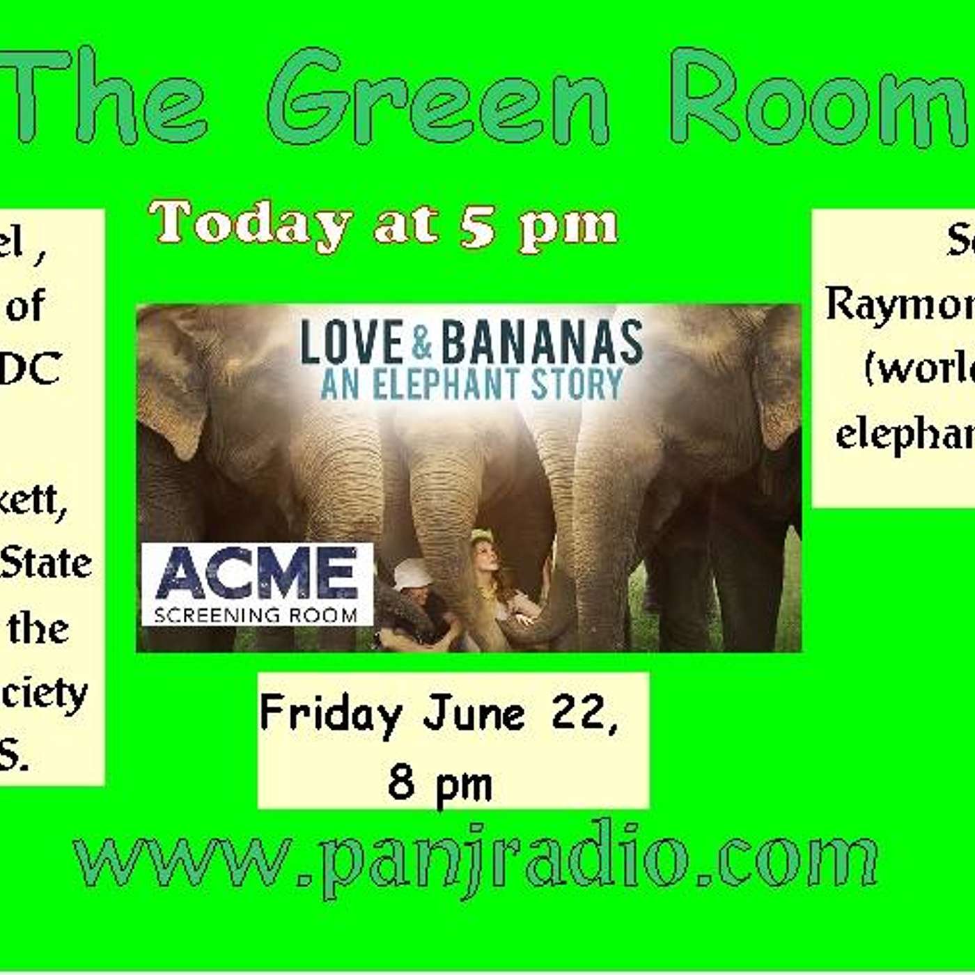 In The Green Room Elephants