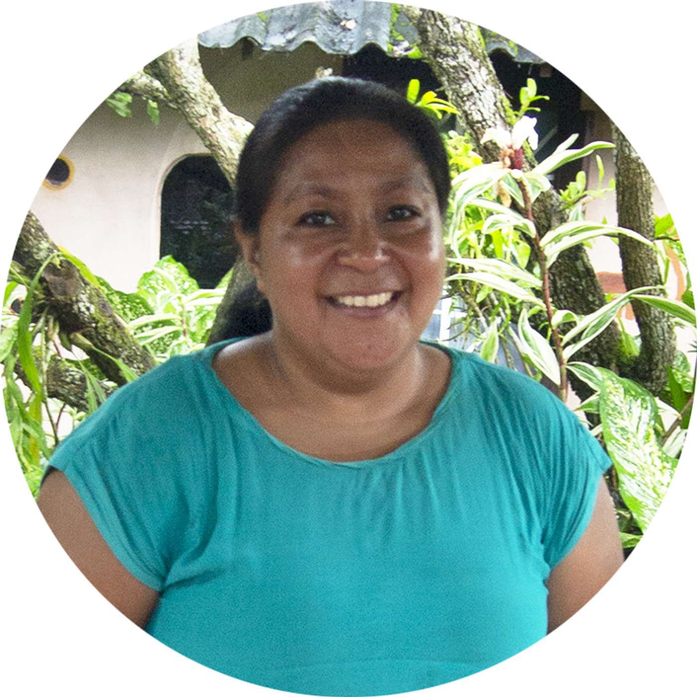 Big Agriculture and Climate Change with GRAIN's Kartini Samon - Jakarta episode artwork