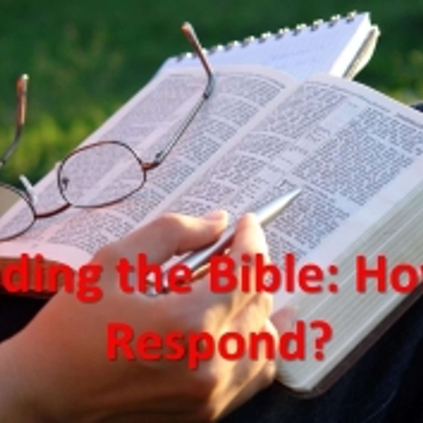 29 Dec 24 Reading the Bible - how to respond?