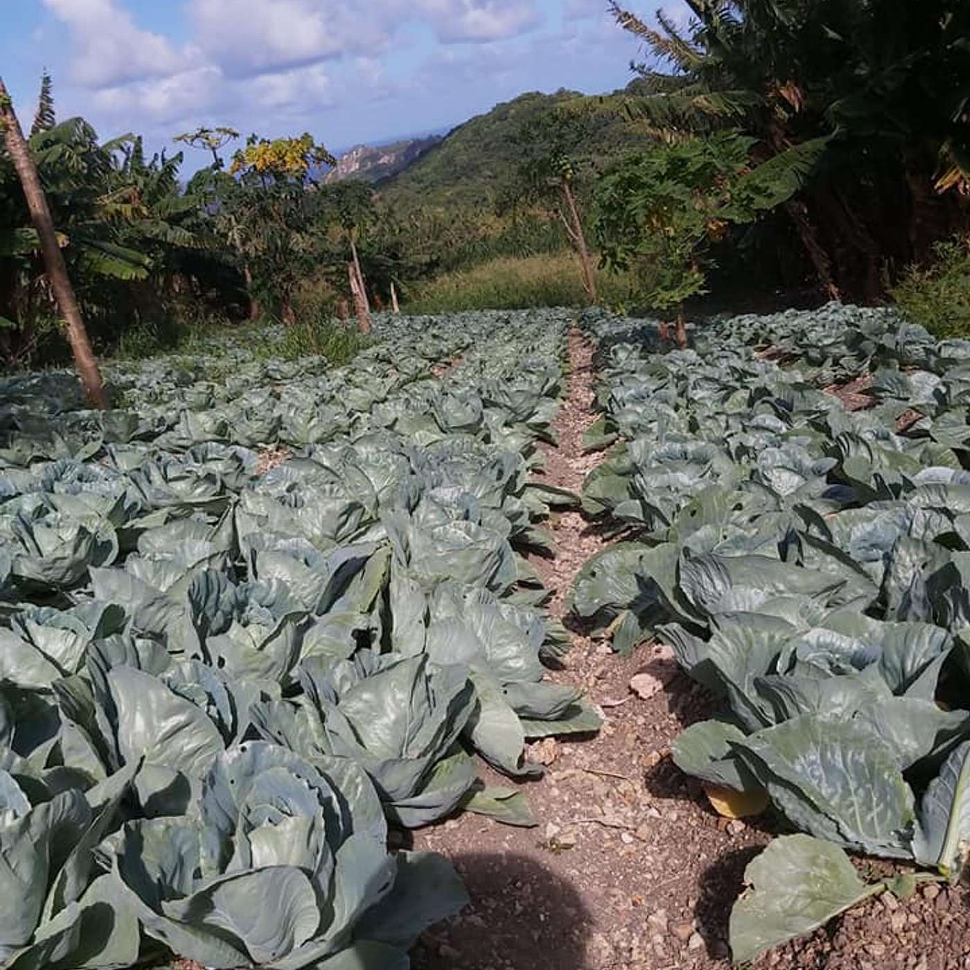 Down to Earth Part 3 Down to Earth Part 3