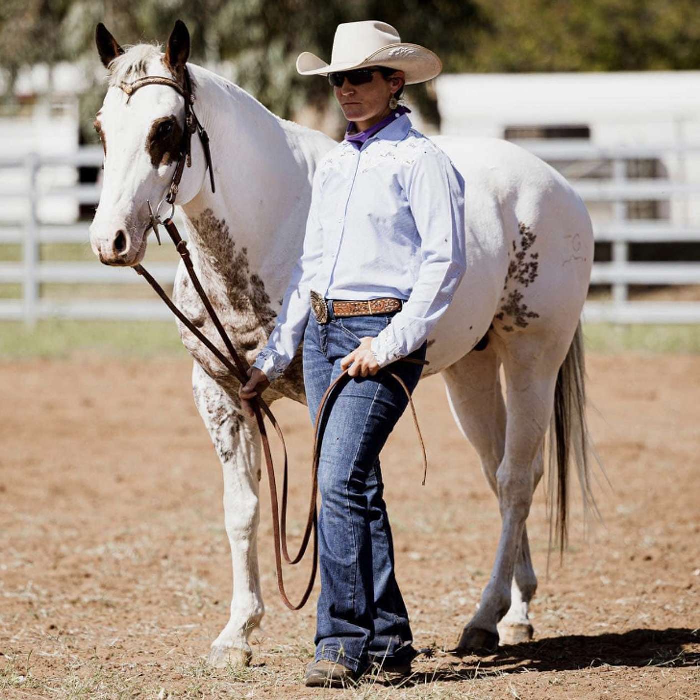 S3 E4 Creating Multi Purpose Horses with Joelene Gleeson