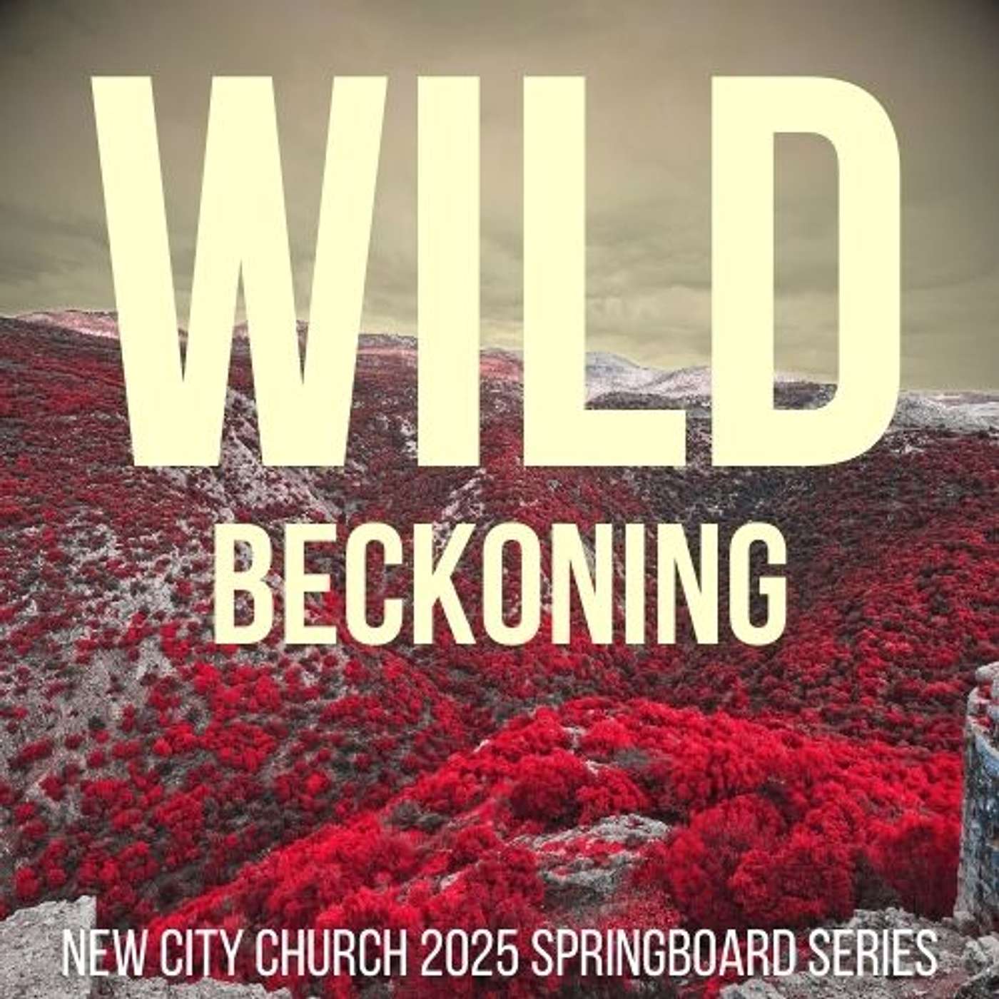 Wild Beckoning Part Four: The Wildest Plan Part One