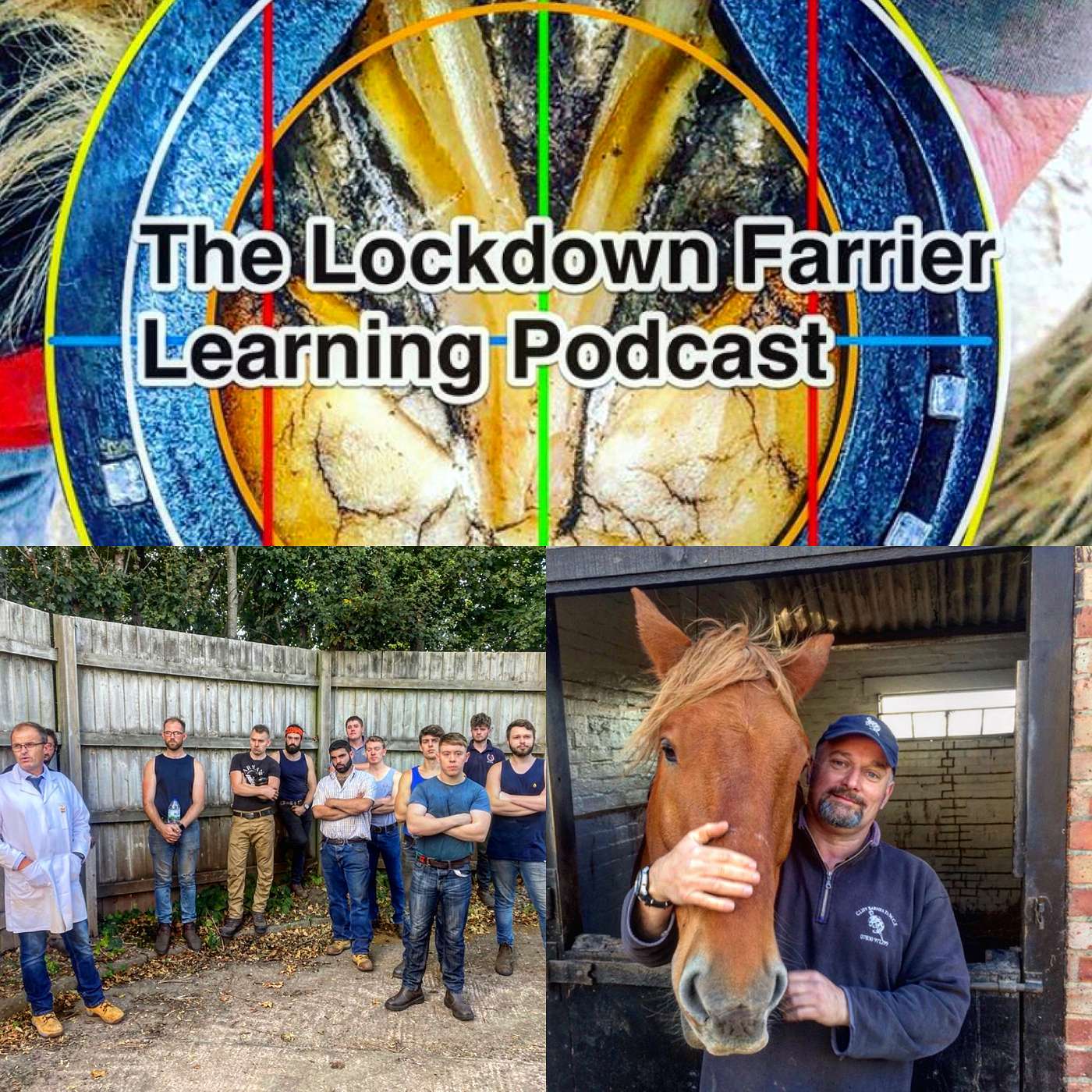 Episode 15 Trailblazer Farriery Apprenticeship. The New Standard