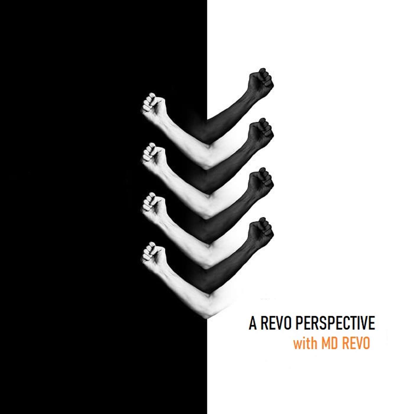 A REVO PERSPECTIVE with MD REVO