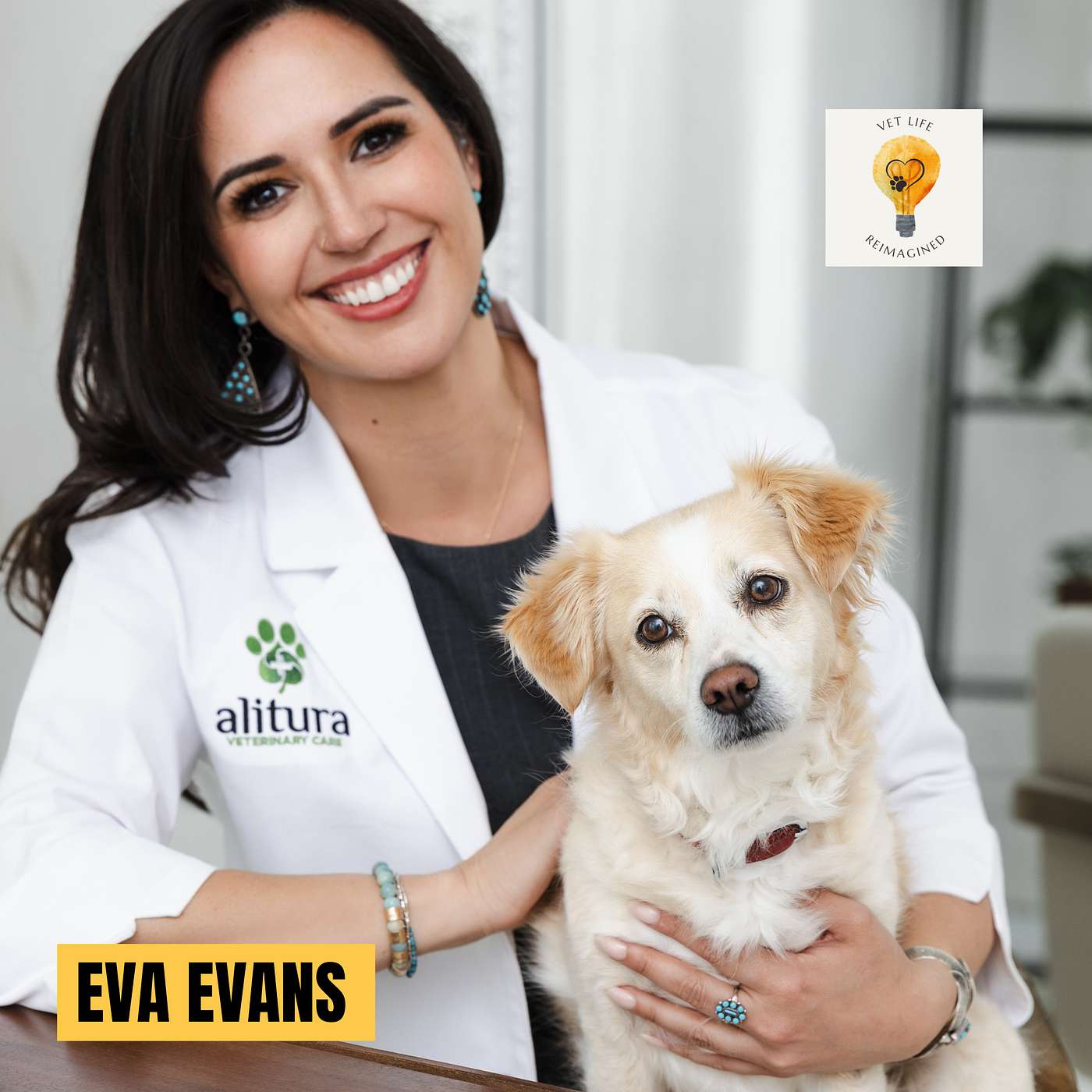 How To Build Your Dream Veterinary Clinic with Dr. Eva Evans How To Build Your Dream Veterinary Clinic with Dr. Eva Evans