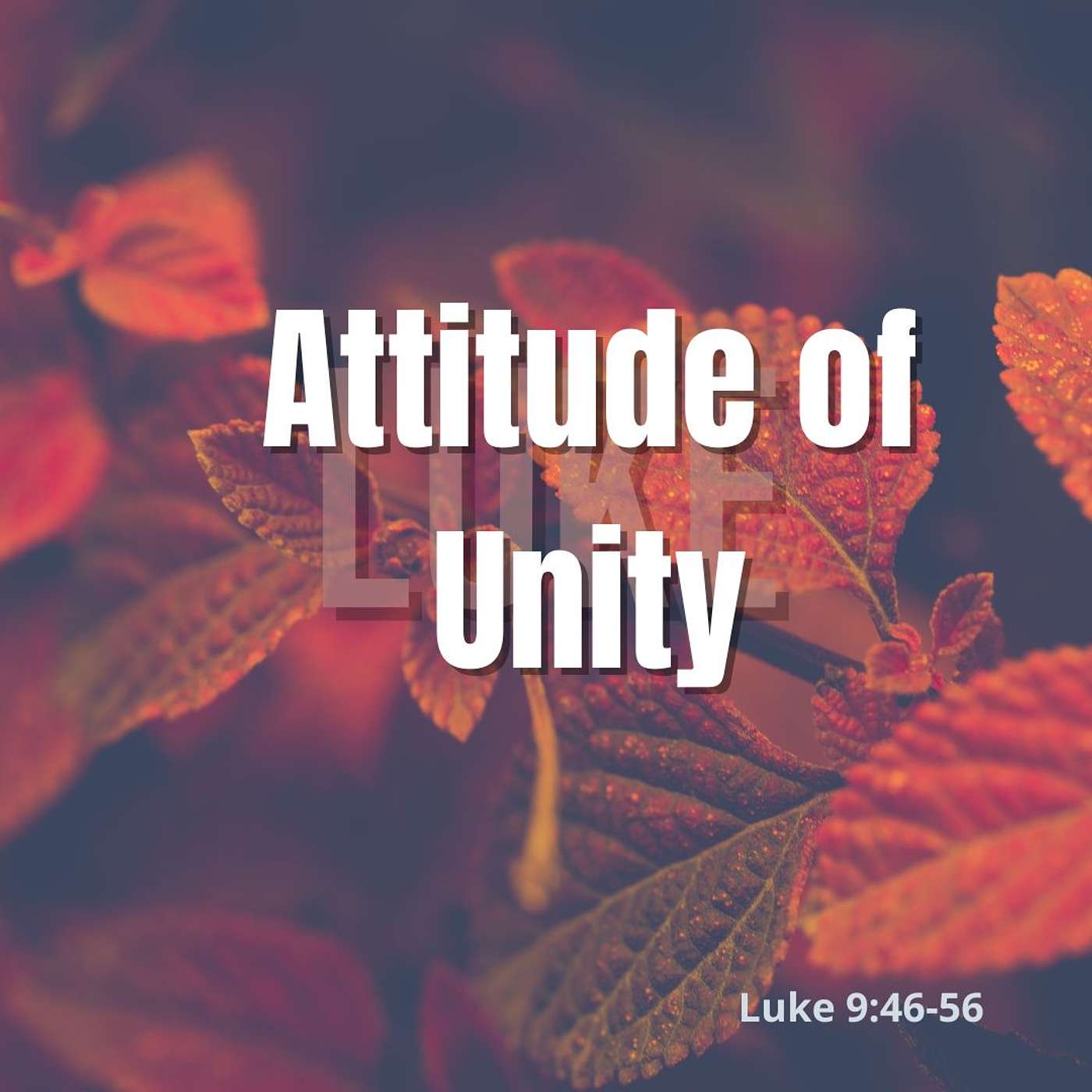 Attitude of Unity