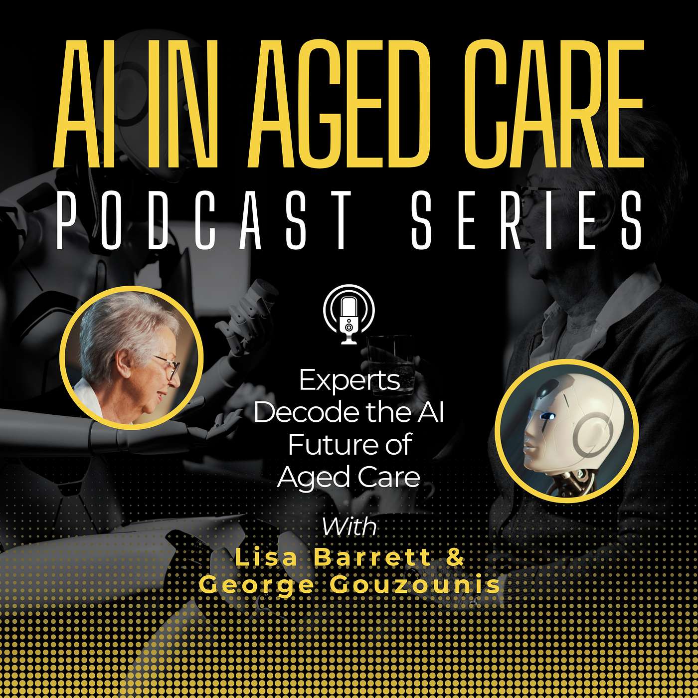 AI in Aged Care - Safety and Cybersecurity