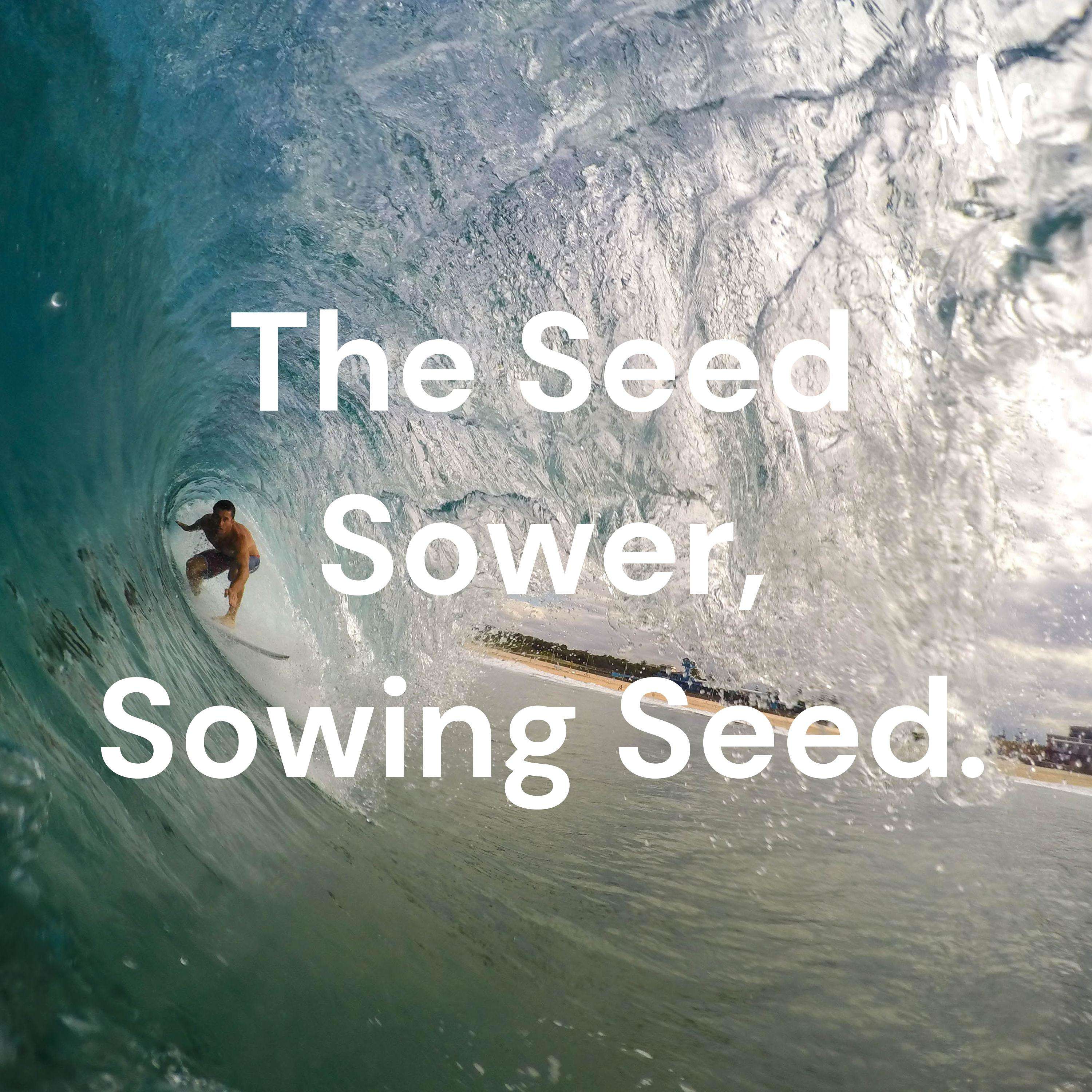 The Seed Sower, Sowing Seed.