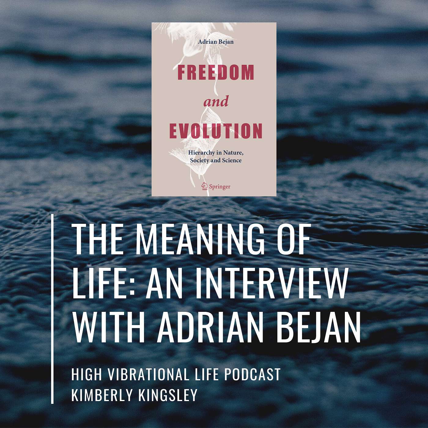 The Meaning of Life: An Interview with Adrian Bejan