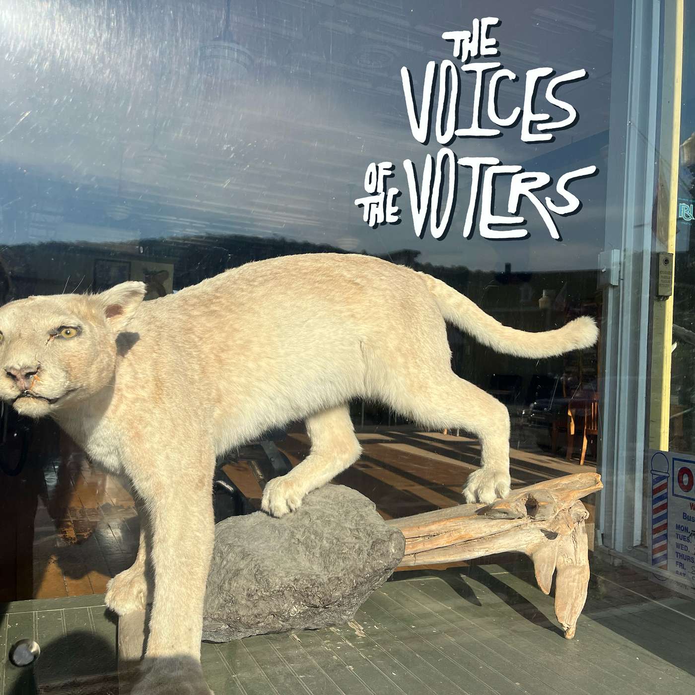 Voices of the Voters E3: Five people off the commons or up in the hills of Chelsea, Vt.