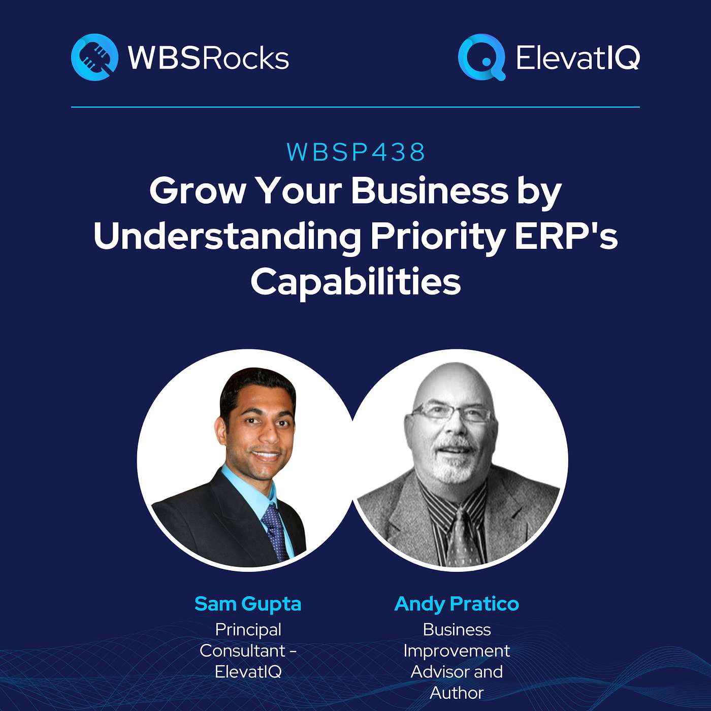 WBSP438: Grow Your Business by Understanding Priority ERP’s Capabilities, an Objective Panel Discussion