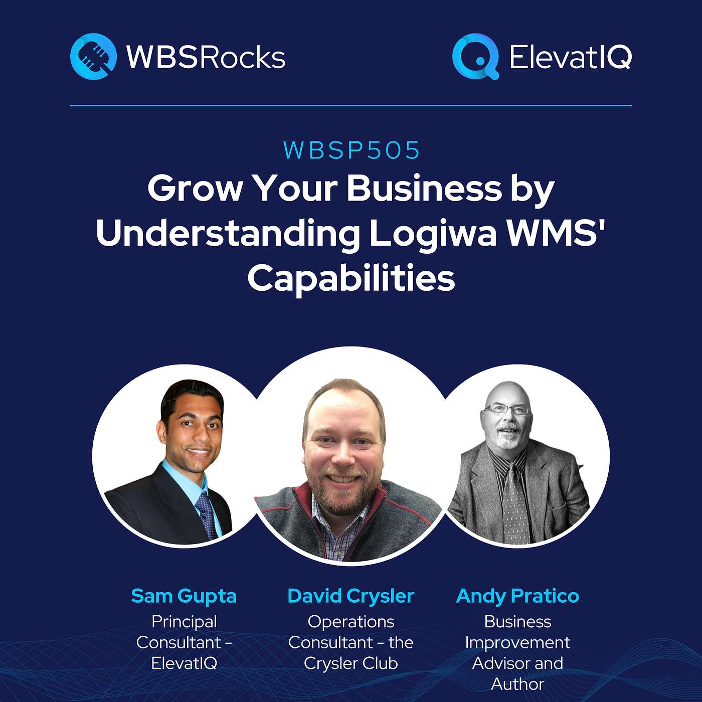 WBSP505: Grow Your Business by Understanding Logiwa WMS' Capabilities, an Objective Panel Discussion