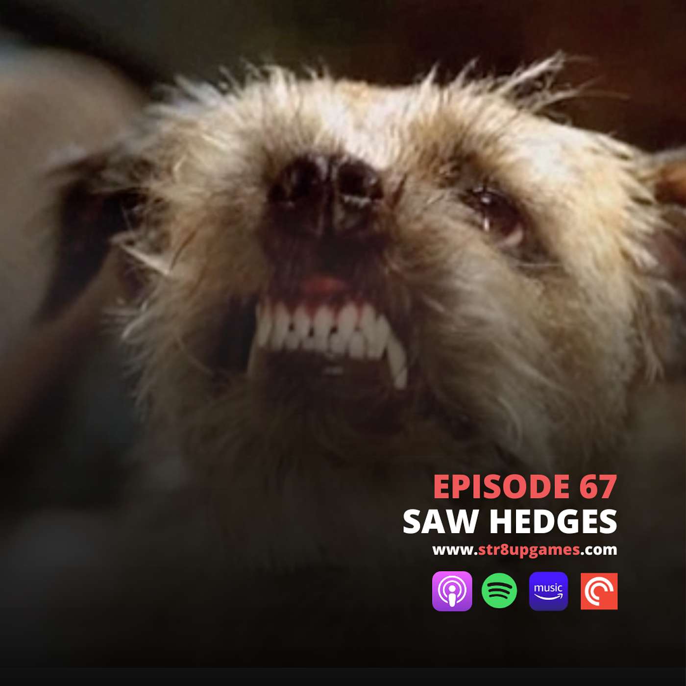Ep.67 Saw Hedges