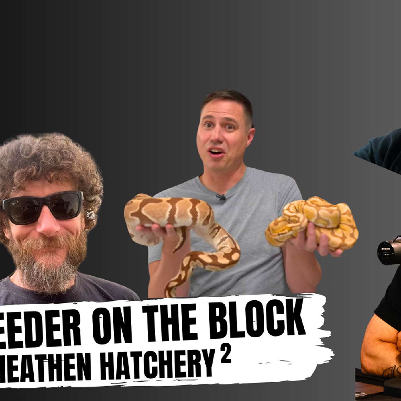 Should using filters & editing Ball Python photos be a crime? | New Breeder On The Block