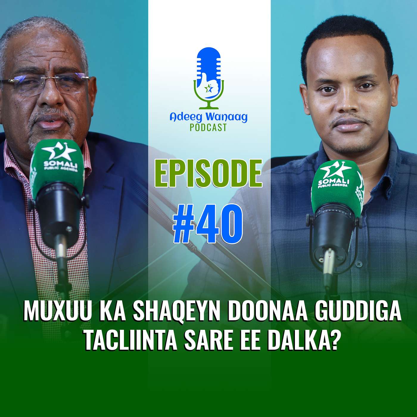 Muxuu ka Shaqeyn Doonaa Guddiga Tacliinta Sare ee Dalka?