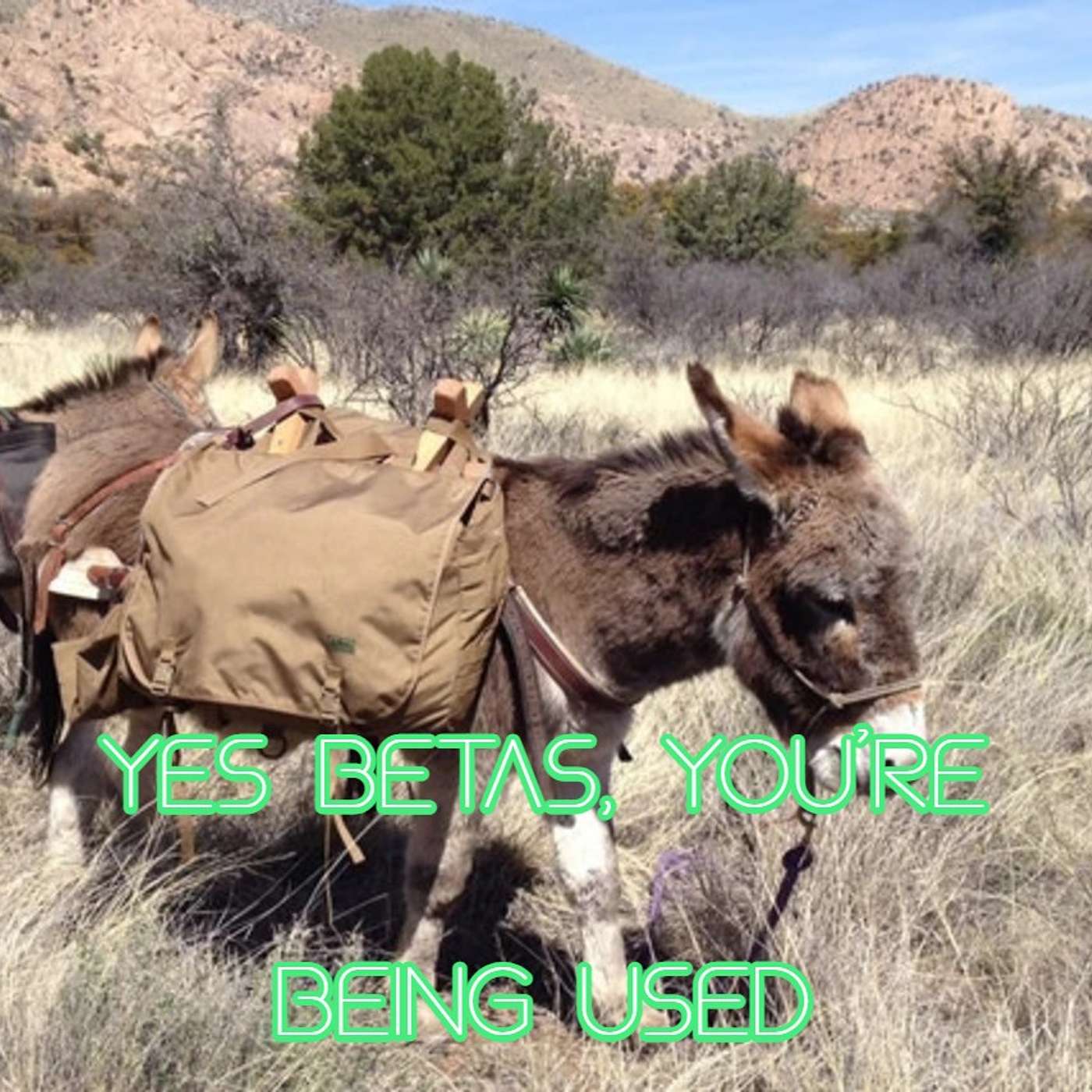 Yes Betas, You’re Being Used
