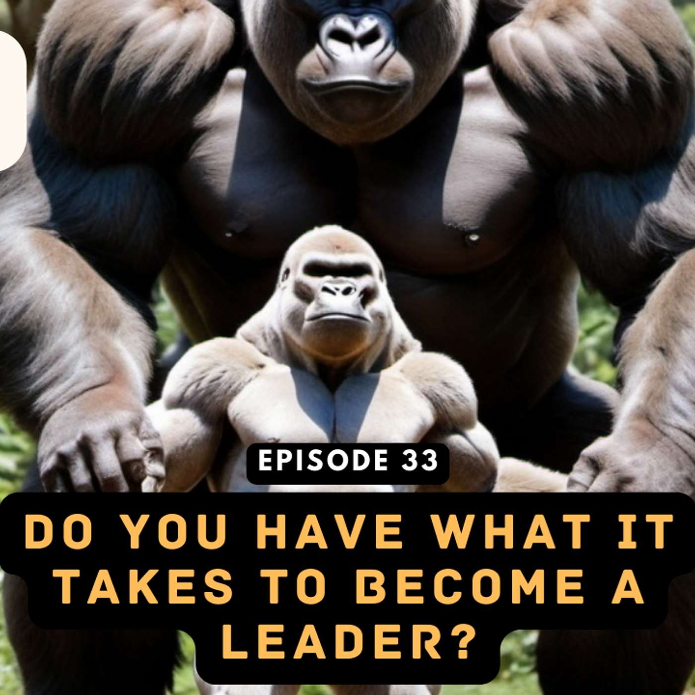 Episode 33: Do you have what it takes to become a leader? episode artwork