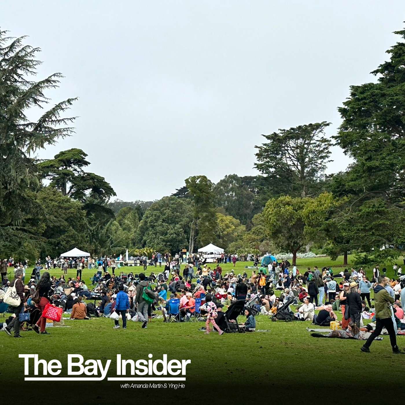 The Bay Insider