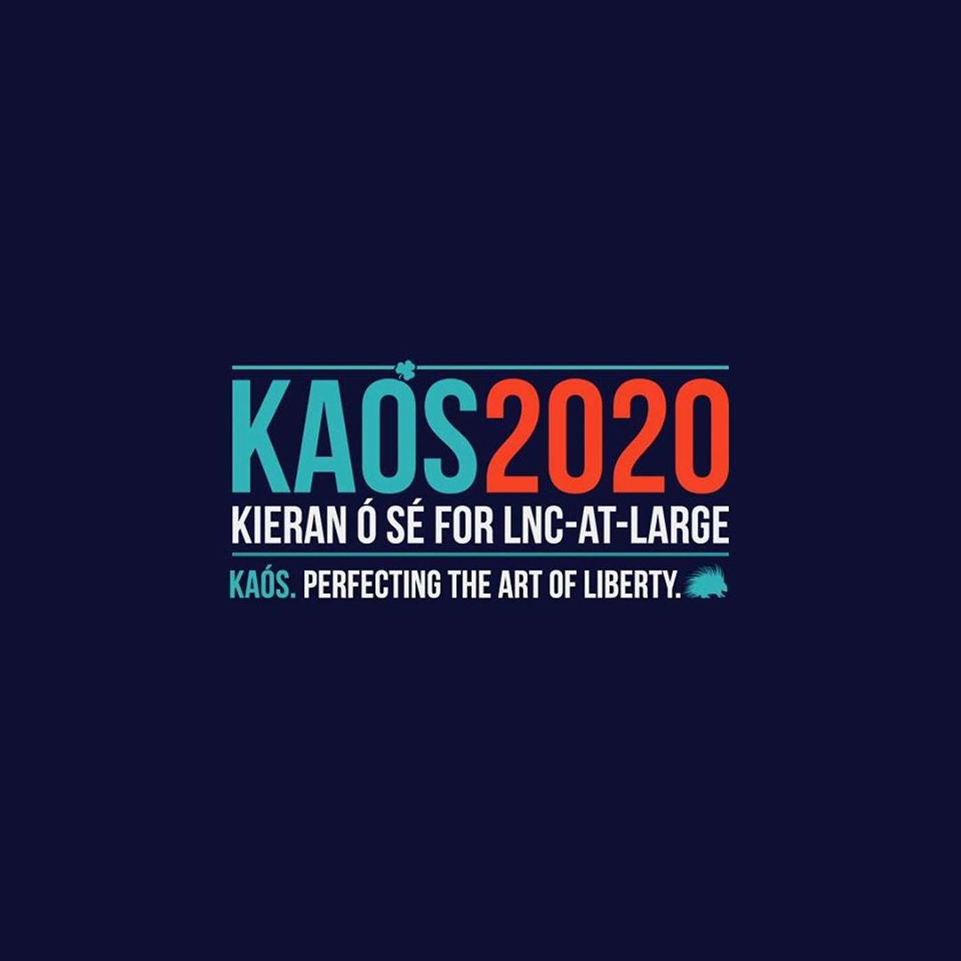 Ep. 28 - Interview: Kieran Ó Sé for At Large episode artwork