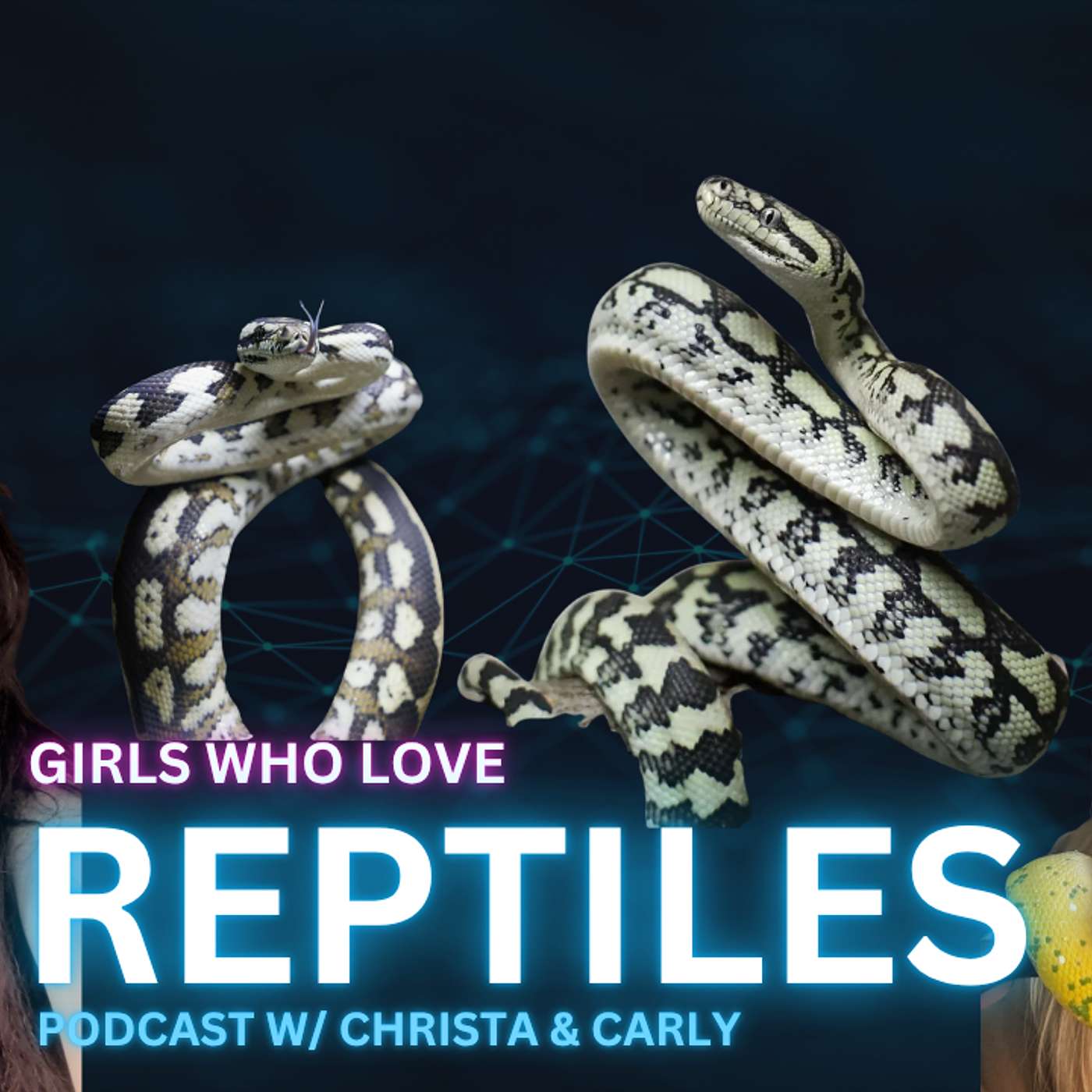 Finding Breeders You Can Trust In The Morelia Game | Girls Who Love Reptiles Podcast (Live)