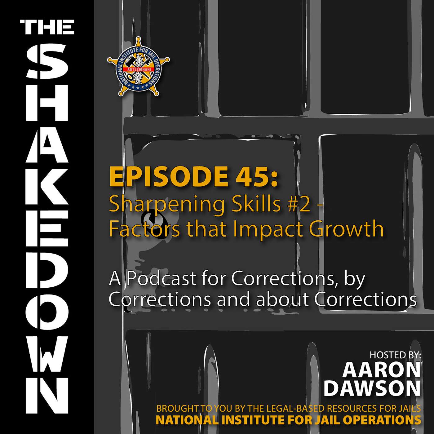 Episode 45: Sharpening Skills #2 - Factors that Impact Growth