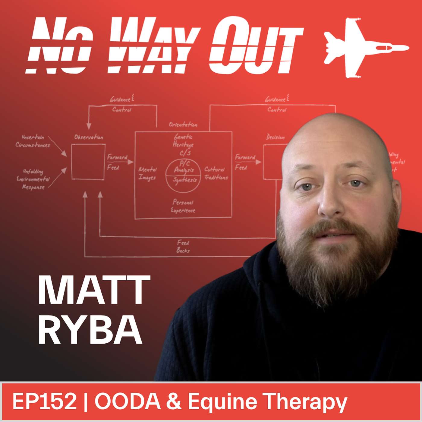 Breaking the Cycle: PTSD, Veterans, and the OODA Loop of Equine Therapy
