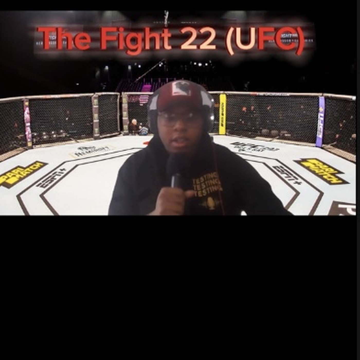 LNTN The Fight 22 (UFC)
