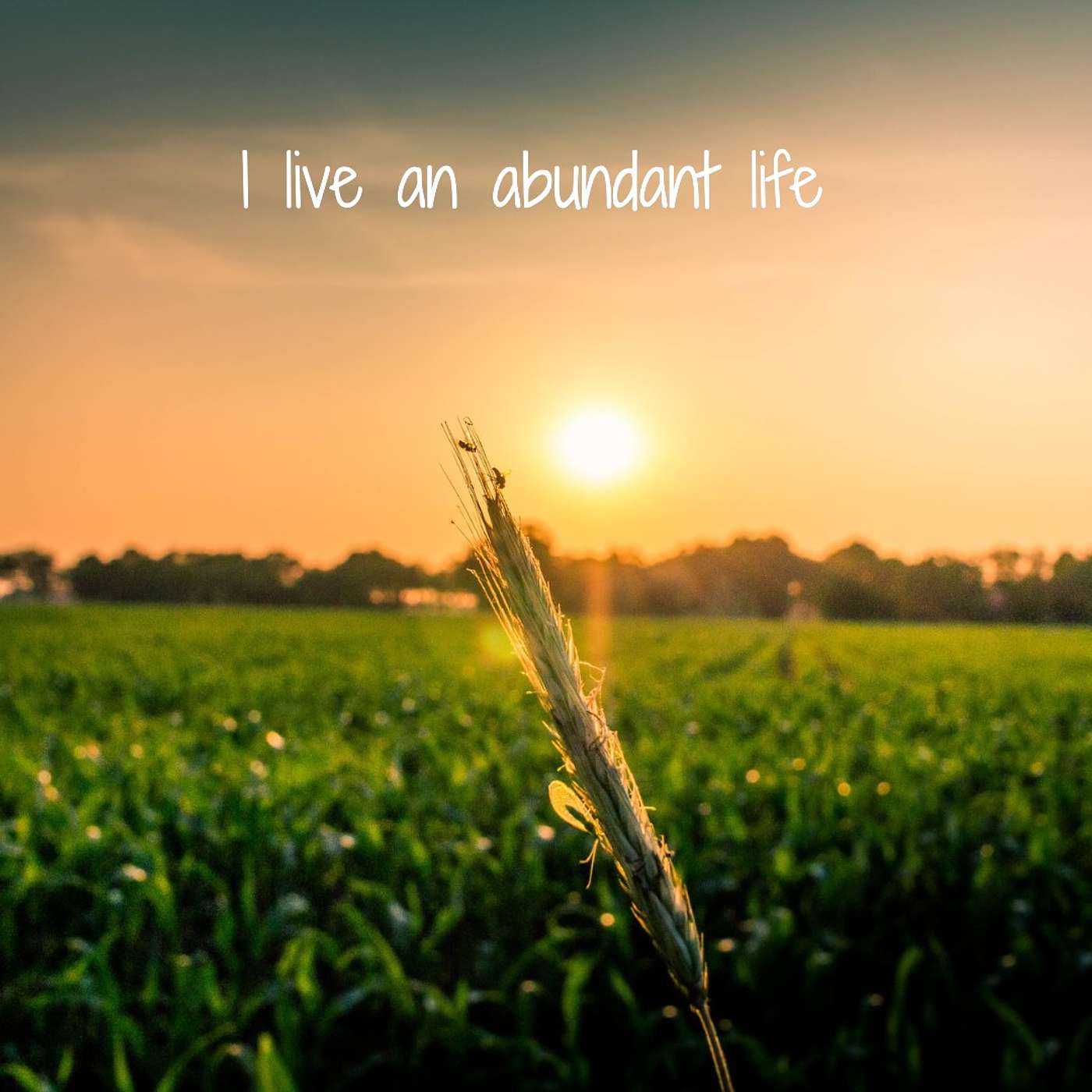#303 I live an abundant life episode artwork
