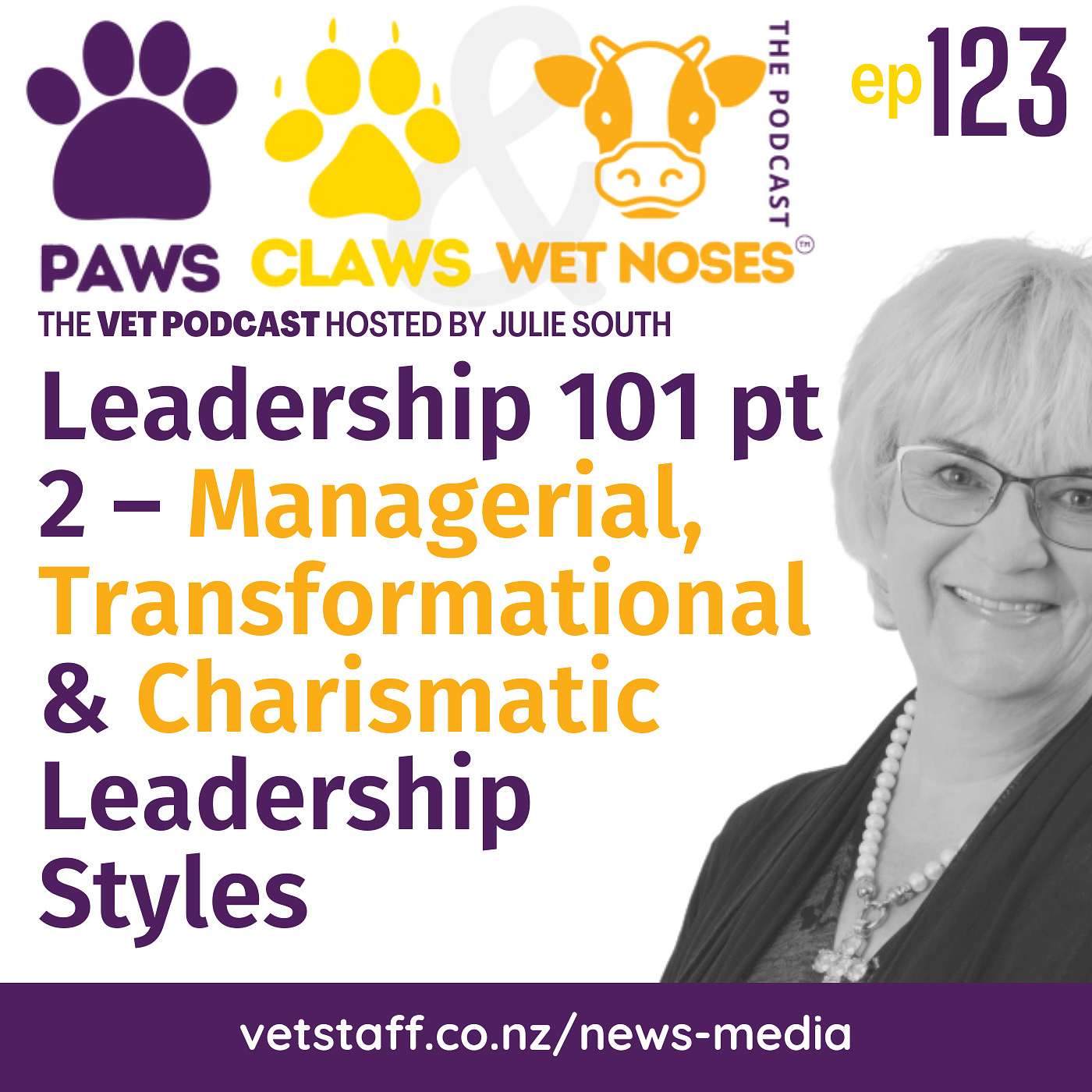 Leadership 101 pt 2 – Managerial, Transformation & Charismatic Leadership Styles