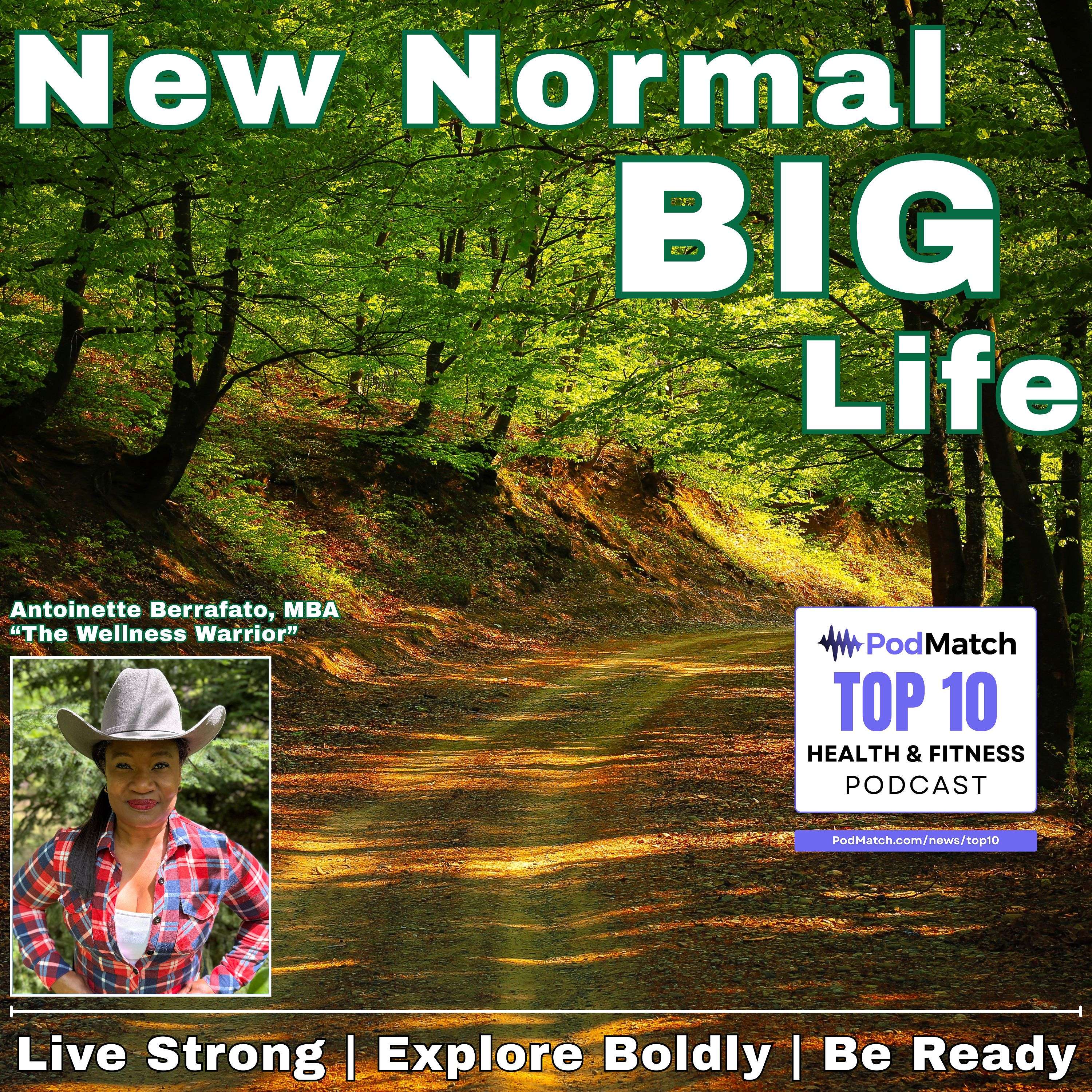 New Normal Big Life: Functional Medicine and Holistic Health for Veterans, First Responders, and Caregivers Artwork